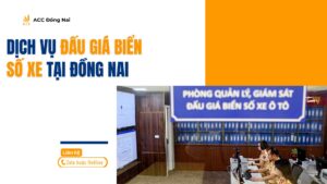 Dịch vụ đấu giá biển số xe tại Đồng Nai