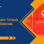 Dịch vụ giấy tờ nhà đất tại Đồng Nai