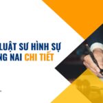 Dịch vụ luật sư hình sự tại Đồng Nai chi tiết