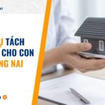 Dịch vụ tách thửa đất cho con tại Đồng Nai