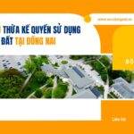 Dịch vụ thừa kế quyền sử dụng đất tại Đồng Nai