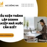 Điều kiện thành lập doanh nghiệp nhà nước cần biết