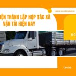 Điều kiện thành lập hợp tác xã vận tải hiện nay