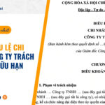 Mẫu điều lệ chi nhánh công ty TNHH