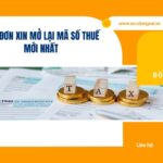 Mẫu đơn xin mở lại mã số thuế mới nhất