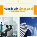 Phân biệt giữa công ty con và chi nhánh công ty