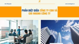 Phân biệt giữa công ty con và chi nhánh công ty