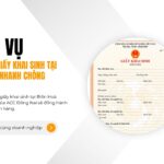 Dịch vụ làm lại giấy khai sinh tại Biên Hoà nhanh chóng