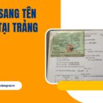 Dịch vụ sang tên xe máy tại Trảng Bom