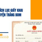 Dịch vụ trích lục giấy khai sinh tại huyện Trảng Bom