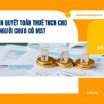 Hướng dẫn quyết toán thuế TNCN cho người chưa có MST