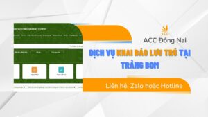 Dịch vụ Khai báo lưu trú tại Trảng Bom