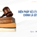 Biện pháp xử lý hành chính là gì