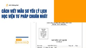 Cách viết mẫu Sơ yếu lý lịch Học viện Tư pháp chuẩn nhất