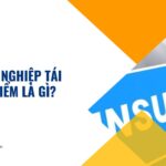 Doanh nghiệp tái bảo hiểm là gì