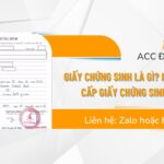 Giấy chứng sinh là gì Hồ sơ cấp giấy chứng sinh