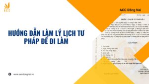 Hướng dẫn làm lý lịch tư pháp để đi làm