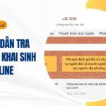 Hướng dẫn tra cứu giấy khai sinh online