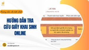 Hướng dẫn tra cứu giấy khai sinh online