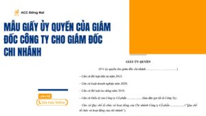 Mẫu giấy ủy quyền của giám đốc công ty cho giám đốc chi nhánh