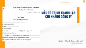 Mẫu tờ trình thành lập chi nhánh công ty