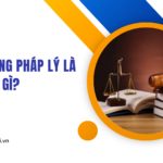 Môi trường pháp lý là gì