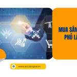 Mua sắm Chính phủ là gì