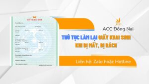 Thủ tục làm lại giấy khai sinh khi bị mất, bị rách