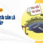 Tịch thu tài sản là gì