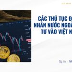 Các thủ tục để cá nhân nước ngoài đầu tư vào việt nam