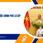 Cơ quan thuộc Chính phủ là gì