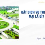 Đất dịch vụ thương mại là gì?