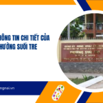 Địa chỉ và thông tin chi tiết của UBND phường Suối Tre