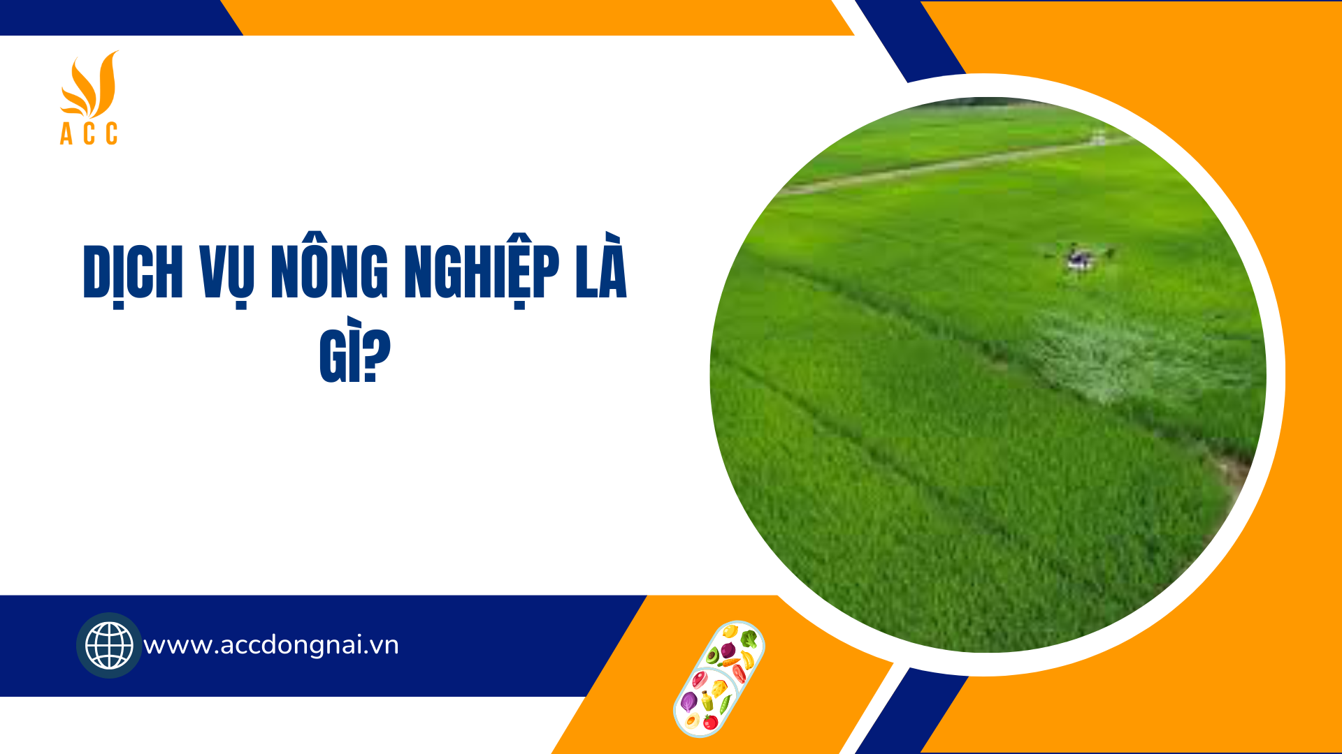 Dịch vụ nông nghiệp là gì