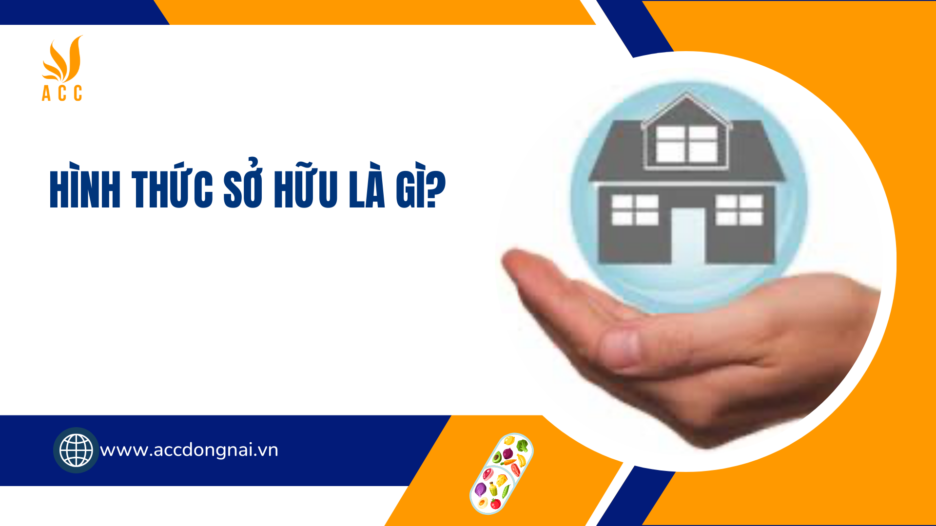 Hình thức sở hữu là gì