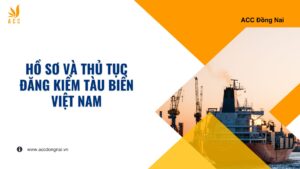 Hồ sơ và thủ tục đăng kiểm tàu biển Việt Nam