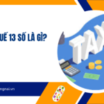Mã số thuế 13 số là gì