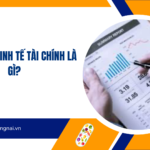 Nghiệp vụ kinh tế tài chính là gì