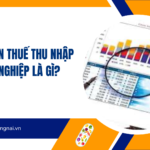 Quyết toán thuế thu nhập doanh nghiệp là gì?