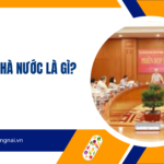 Thể chế nhà nước là gì