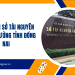 Thông tin Sở Tài nguyên và Môi trường tỉnh Đồng Nai