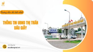 Thông tin UBND thị trấn Dầu Giây