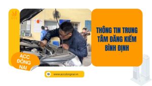 Thông tin trung tâm đăng kiểm Bình Định