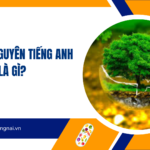 Thuế tài nguyên tiếng Anh là gì