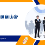 Trợ lý dự án là gì