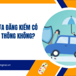 Xe mới chưa đăng kiểm có được lưu thông không