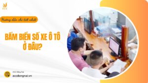 Bấm biển số xe ô tô ở đâu