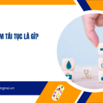 Bảo hiểm tái tục là gì