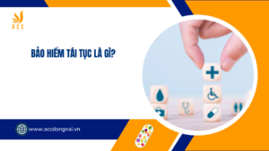 Bảo hiểm tái tục là gì