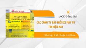 Các công ty bảo hiểm xe máy uy tín hiện nay